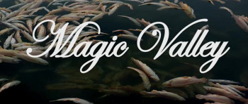 Magic Valley (2011) download