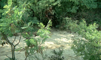 Mais où est donc passée la 7ème compagnie (1973) download