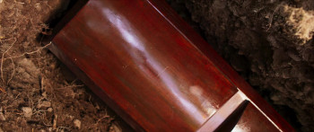 María, Me Muero (2024) download