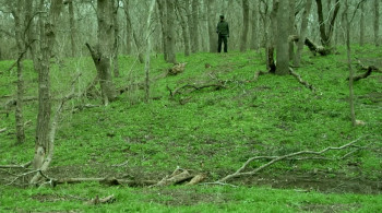 Maurice Ripke Is the Woodsman (2012) download