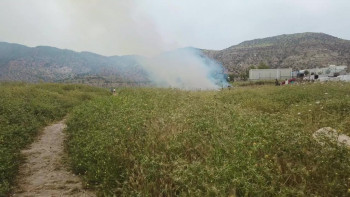 Mediha (2023) download