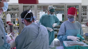 Memento Mori (2016) download