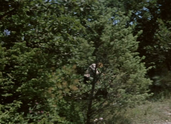 Memories of a Teenager (2019) download