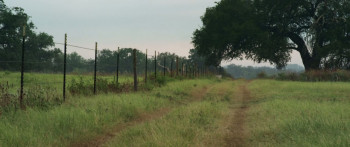 Mercury Plains (2016) download