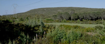 Metamorphoses (2014) download