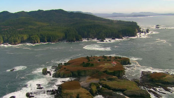 Migrations: The Big Swim (2020) download