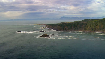 Migrations: The Big Swim (2020) download