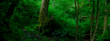 Mile 666 (2025) download