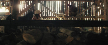 Miss Boots (2024) download