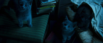 Mon chat et moi, la grande aventure de Rroû (2023) download
