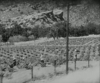 Monte Carlo (1930) download