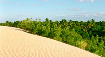 Motel Destino (2024) download