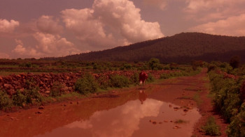 My Family (1995) download