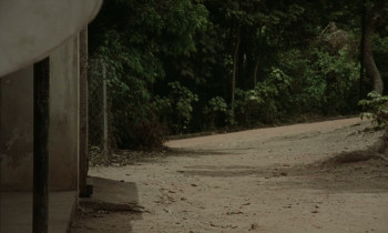 My Father's Shadow (2025) download