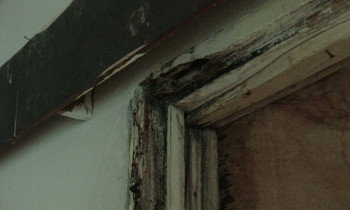 My Father's Shadow (2025) download