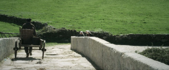 My Name Is Bernadette (2011) download