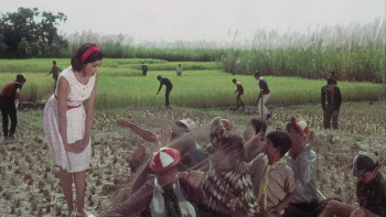 My Name Is Joker (1970) download