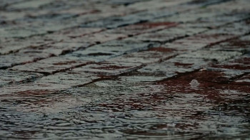 Mystery Island: House Rules (2025) download