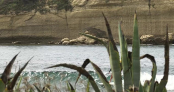 Nausicaa (2018) download