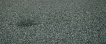 New Fears Eve (2025) download