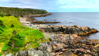 Newfoundland (2025) download