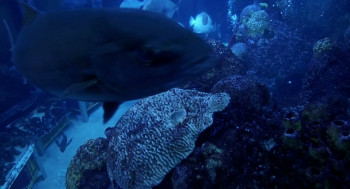 Next Stop Wonderland (1998) download