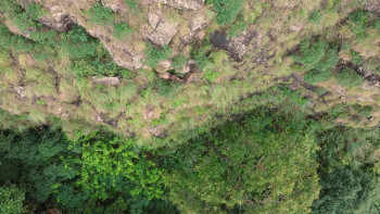 Nilgiris: A Shared Wilderness (2024) download