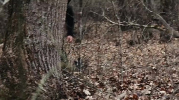 No One Believed Me (2025) download