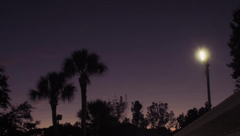 No Sleep Till (2024) download