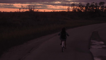 No Sleep Till (2024) download