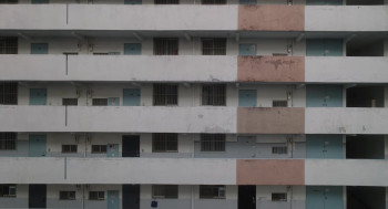 Noise (2024) download