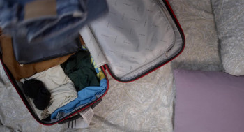 Nunta pe bani (2023) download