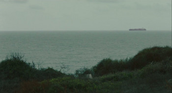 Octopus Skin (2022) download