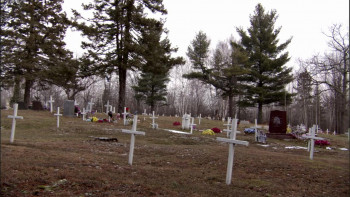 Older Than America (2008) download