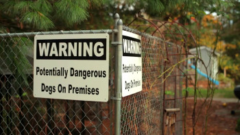 One Nation Under Dog (2012) download