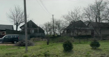 Padurea de molizi (2025) download