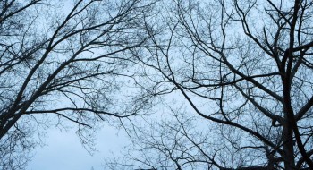 Painless (2017) download