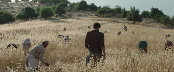 Palestine '36 (2025) download