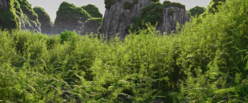 Panda Bear in Africa (2024) download