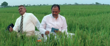 Pardes (1997) download