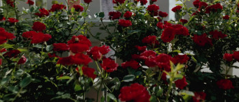 Patrik, Age 1.5 (2008) download