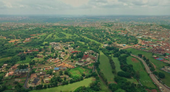 Pink Butterfly (2024) download