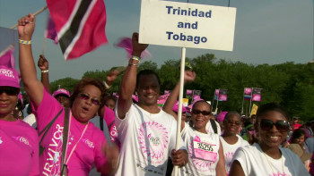 Pink Ribbons, Inc. (2011) download