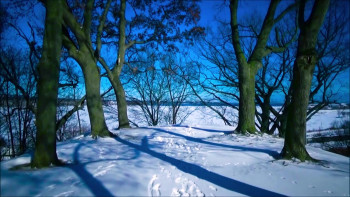 Plan 9 from Outer Space in Color (1959) download