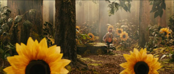 Plop wordt kabouterkoning (2012) download