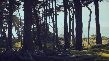 Possession of Mara (2025) download