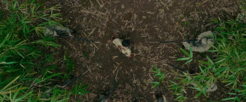 Prisoner of War (2025) download