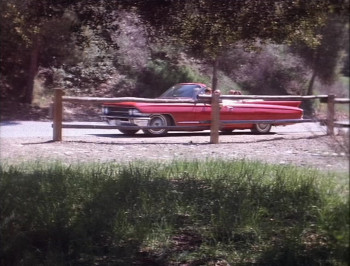 Psycho Cop (1989) download