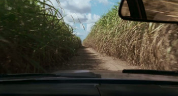 Radiance (1998) download