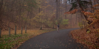 Raptus (2025) download